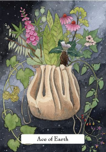 The Witches' Wisdom Tarot by Phyllis Curott