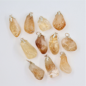 Riipus Sitriini (lämpökäsitelty) 'Terälehti' 15-30mm