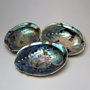 'Merikorva' Abalone simpukankuori 13-15cm