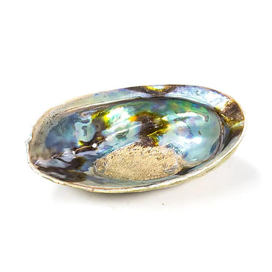 'Merikorva' Abalone simpukankuori 13-15cm