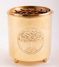 Suitsukeastia 'Yggdrasil Golden' 60*55mm