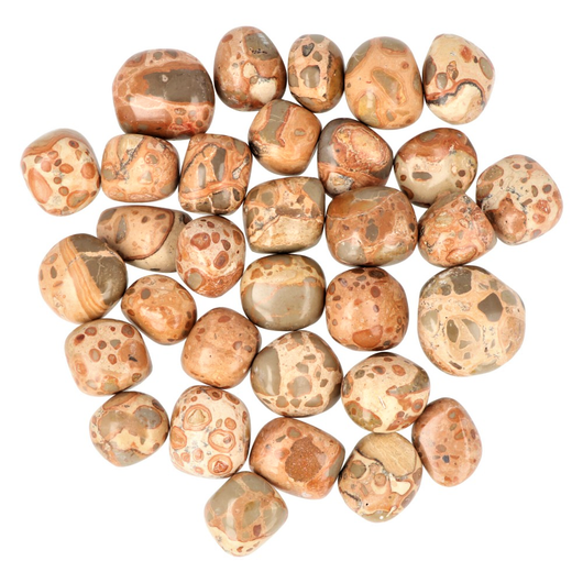 Jaspis 'Leopardi' 20-25mm