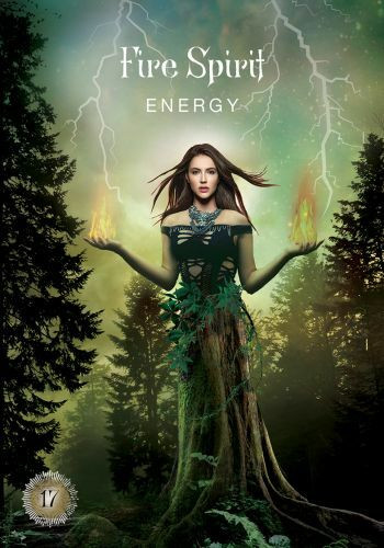 The Sacred Forest Oracle : 52 Cards To Open Energy Portals Of A - Foto 7