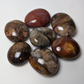 Kivettynyt puu 'Taskukivi' 20-30mm