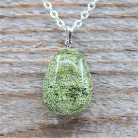 Käärmeennahka Jaspis Hopeariipuksella