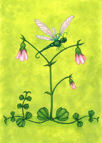 Postikortti 'Tasapaino'