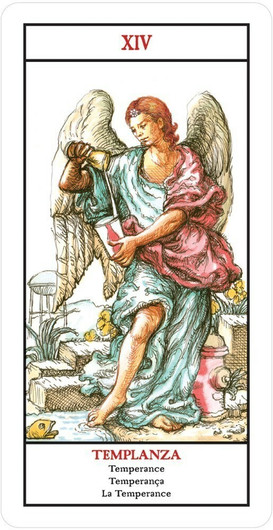 Tarot Neocolonial de las Américas Deck and Book Set