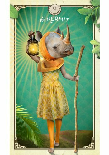 The Tarot of Curious Creatures by Chris-Anne