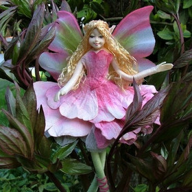 Keijuperhe: Kukkaiskeiju 'Pioni'