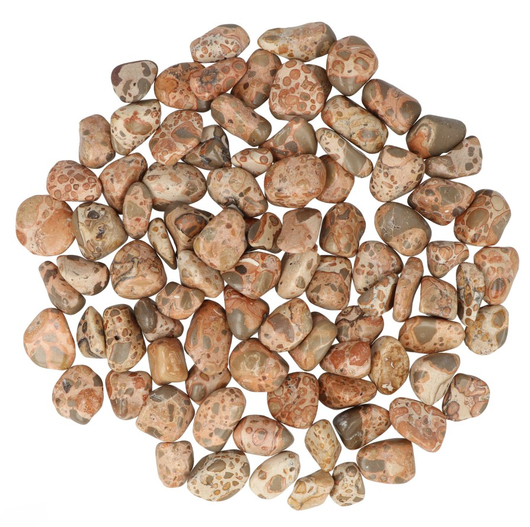 Jaspis Leopardinnahka 20-30mm