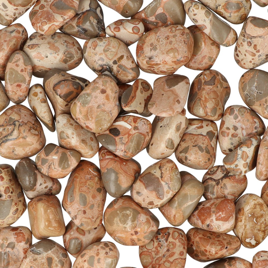 Jaspis Leopardinnahka 20-30mm