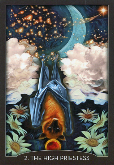 Tarot korttipakka 'Guardian'