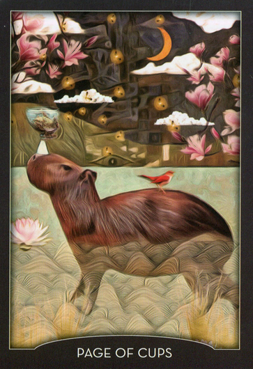 Tarot korttipakka 'Guardian'