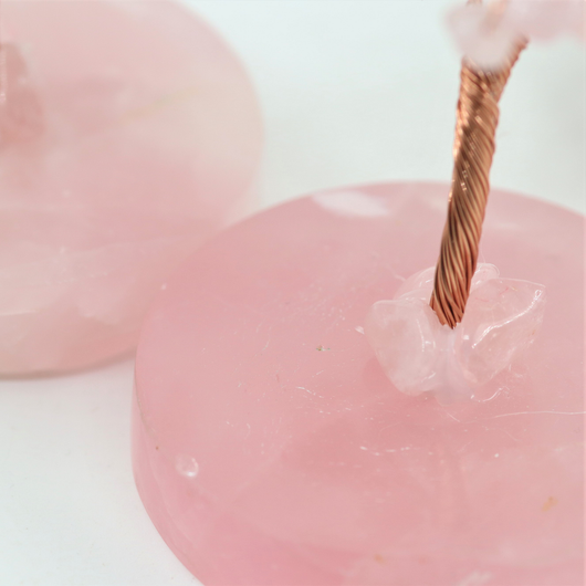 Kivipuu 'Chakrakivipuu' ruusukvartsijalustalla 12cm