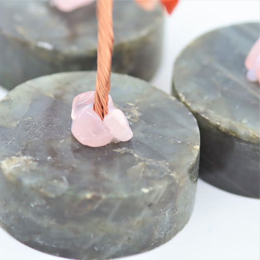 Kivipuu 'Chakrakivipuu' labradoriittijalustalla 15cm