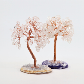 Kivipuu 'Vuorikristalli' akaattijalustalla 10cm