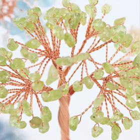 Kivipuu 'Peridootti' akaattijalustalla 10cm