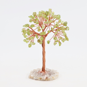 Kivipuu 'Peridootti' akaattijalustalla 10cm