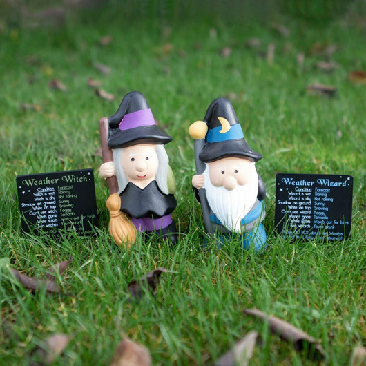 Säävelho 'Weather Wizard' 14,5cm