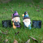 Säävelho 'Weather Wizard' 14,5cm