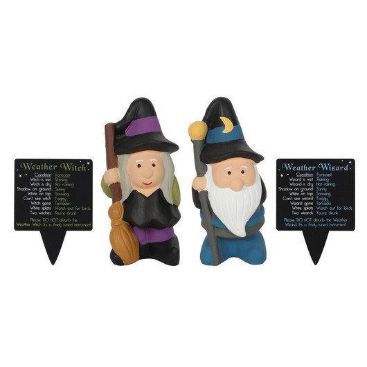 Säävelho 'Weather Wizard' 14,5cm