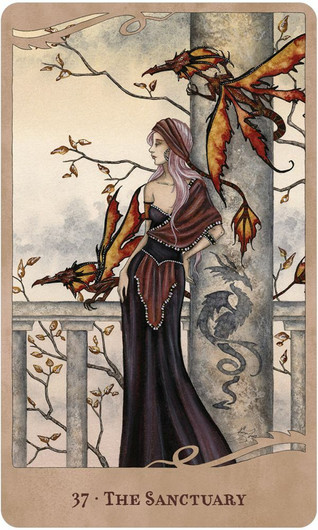 For the Love of Dragons: Oracle Deck & Book Set by Angi Sullins