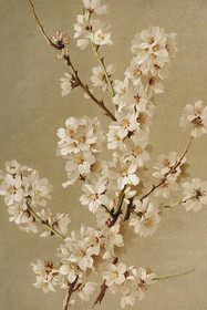 Postikortti vintage 'Mantelipuu'