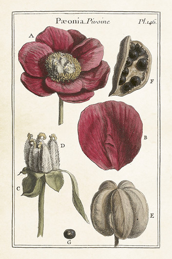 Postikortti vintage 'Silkkiunikko'