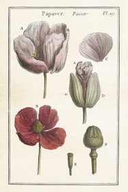 Postikortti vintage 'Unikko'