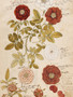 Julistekortti vintage 'Ruusut' 18*24cm