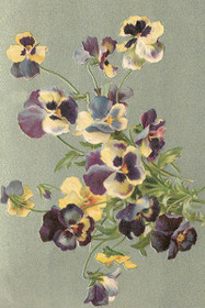 Postikortti vintage 'Orvokki'