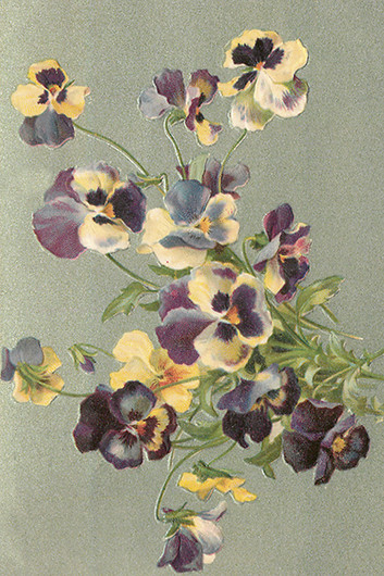 Postikortti vintage 'Orvokki'