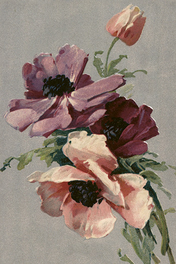 Postikortti vintage 'Kukka 7'