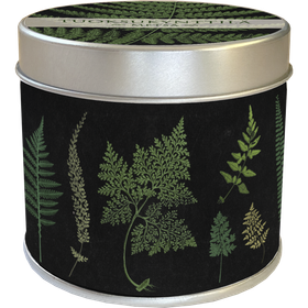 Tuoksukynttilä peltipurkissa Metsä 'Saniaiset'