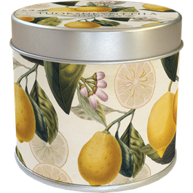 Tuoksukynttilä peltipurkissa Sitruuna 'Sitruunankukka'