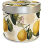 Tuoksukynttilä peltipurkissa Sitruuna 'Sitruunankukka'
