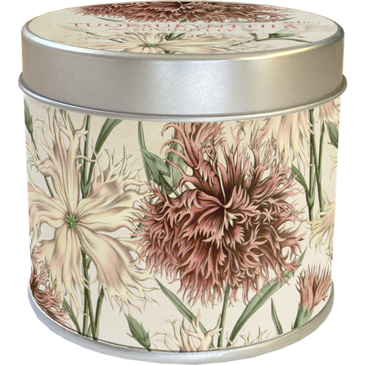 Tuoksukynttilä peltipurkissa 'Suviniitty'