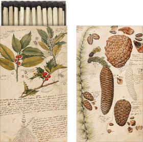 Tulitikkurasia 'Käpy' 6*11cm