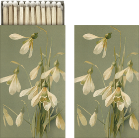 Tulitikkurasia 'Lumikello' 6*11cm