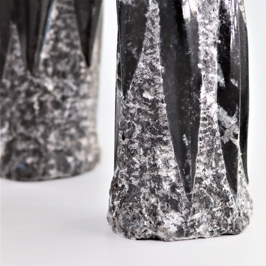 Orthocera Fossiili 'Veistos' 1500-1650g/20cm