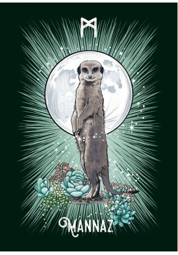 The Witch's Familiar Runic Oracle Cards by Athene Noctua
