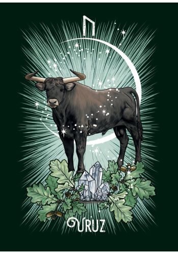 The Witch's Familiar Runic Oracle Cards by Athene Noctua
