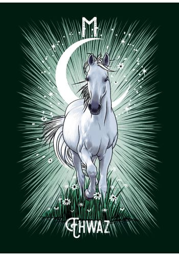 The Witch's Familiar Runic Oracle Cards by Athene Noctua