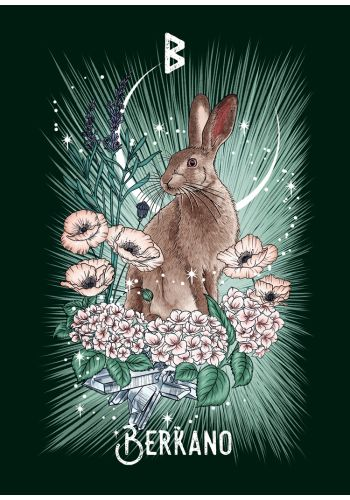 The Witch's Familiar Runic Oracle Cards by Athene Noctua