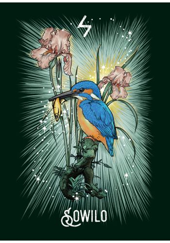 The Witch's Familiar Runic Oracle Cards by Athene Noctua