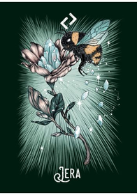The Witch's Familiar Runic Oracle Cards by Athene Noctua