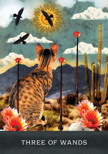 Tarot korttipakka 'Curious Cats'