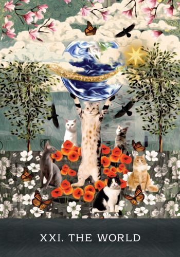 Tarot korttipakka 'Curious Cats'