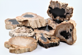 Kivettynyt puu liuska 'Uniikki Madagaskar' 168g