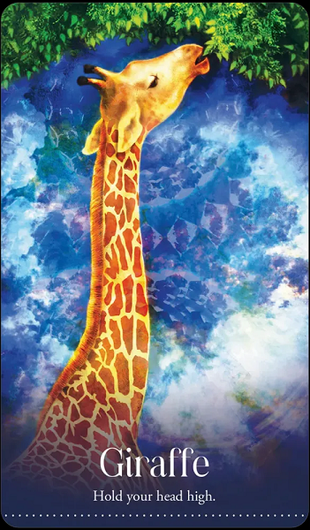 Wild Dreams Animal Oracle by Kelly Sullivan Walden